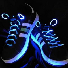 Фото и картинки светящихся красок и люминофоров - Светящиеся LED шнурки